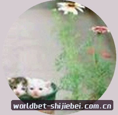 王芳